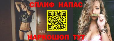 ALPHA PVP Пугачёв