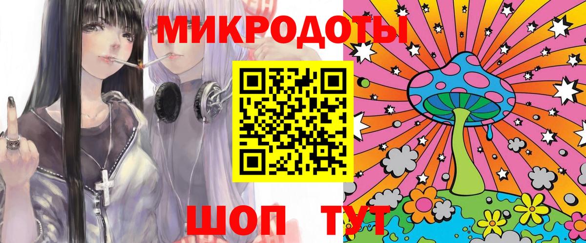 Псилоцибиновые грибы Cubensis Выборг