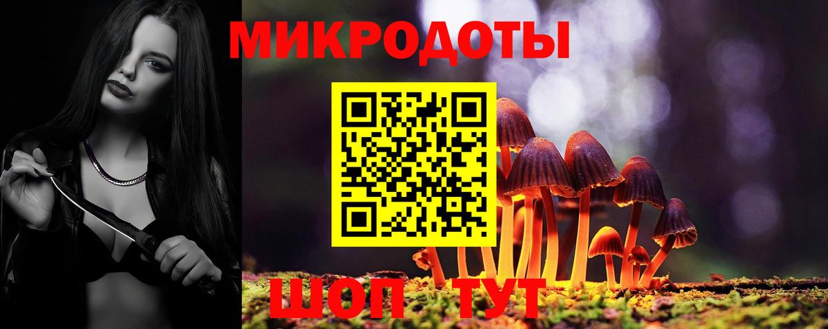 Выборг  Псилоцибиновые грибы мицелий  Псилоцибиновые грибы прущие грибы  Вход с VPN 